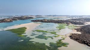 Chausey à Marée Basse